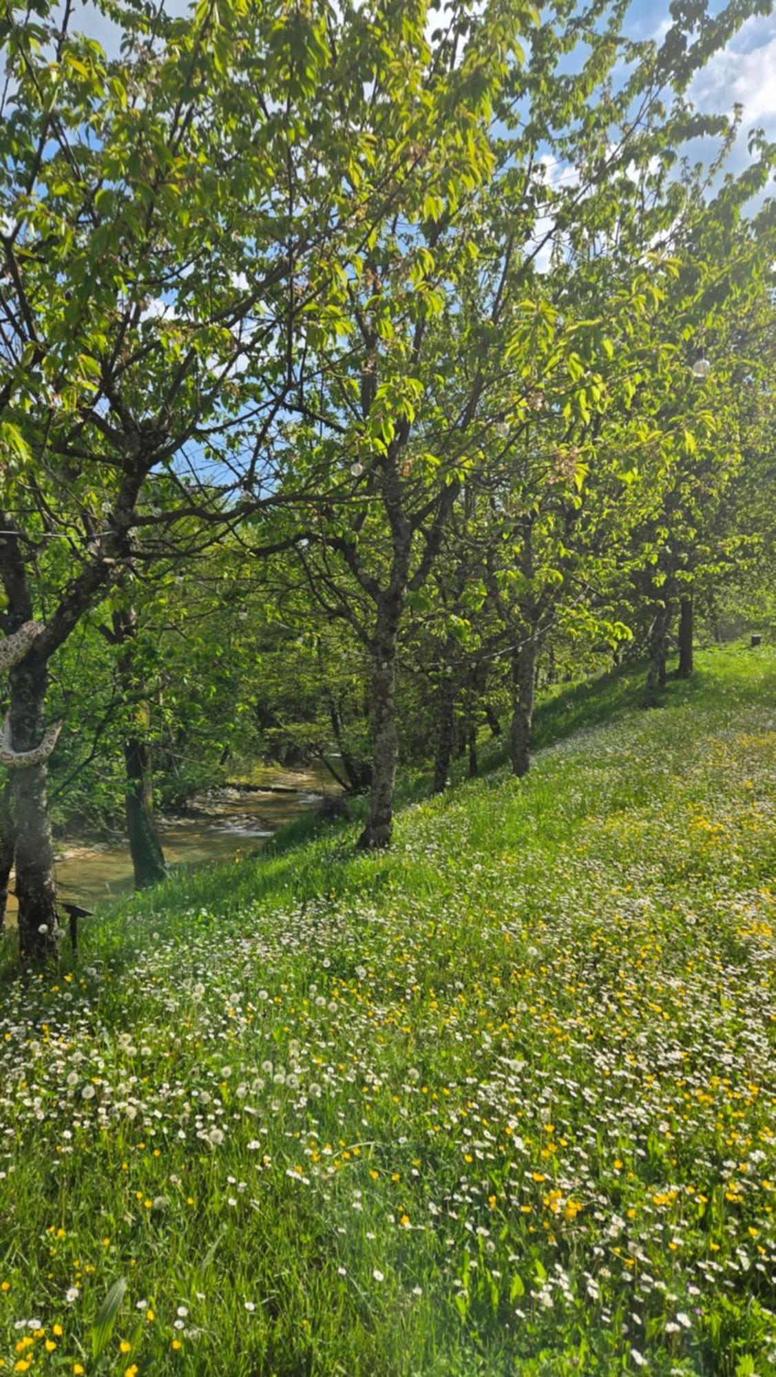 Borgo Corniola B&B Naturista Марради Экстерьер фото