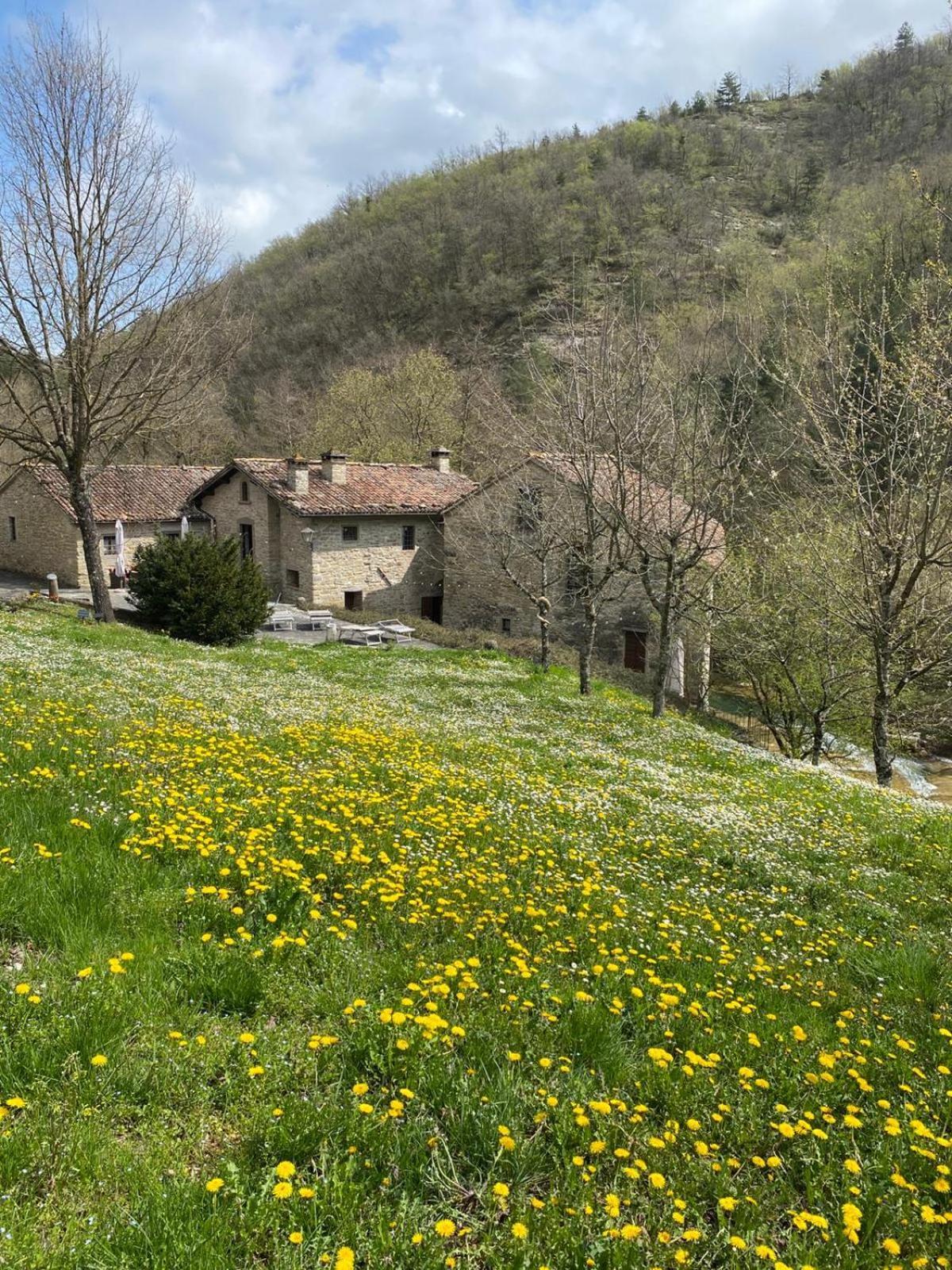 Borgo Corniola B&B Naturista Марради Экстерьер фото